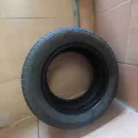 لاستیک ساینا ۶۰/ ۱۸۵ گلدستون
