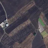 فروش زمین کشاورزی شالی