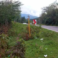 دیلمان ۶۷۰ متر مسکونی باغی ویو ابدی زیر قیمت