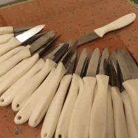 ۵ دست کارد میوه خوری استیل