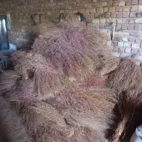 جارو|لوازم نظافت|کنگاور, |دیوار