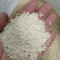 برنج هاشمی دانه درشت