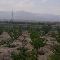 فروش فوری باغ