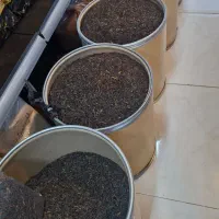 کارخانه چایسازی لاهیجان  چای قلم و قلم سوزنی