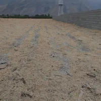 1400متر زمین قیمت استثناعی|فروش زمین و ملک کلنگی|شیراز, کوشک بیدک|دیوار