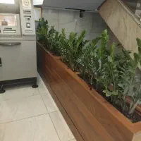 خدمات باغبانی گلکاری هرس کاری  تعویض خاک گلدان|خدمات باغبانی و درختکاری|کرج, فاز ۱ مهرشهر|دیوار