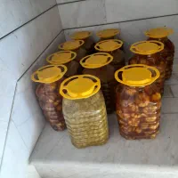 پخش زیتون درشت سیر دوساله