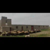 فروش ۴۵۰۰ متری