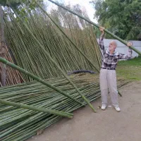 لوله خیزران کلی و جزیی