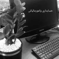 حسابداری وامورمالیاتی|خدمات مالی، حسابداری، بیمه|اهواز, کوی سعدی|دیوار