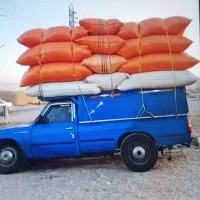 کاه درجه یک