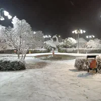 کسی نیروی بوتیکی یا سوپرمارکت می خاد