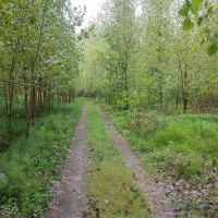 زمین عرصه وعیان ۳ هکتاری با کاربری و سند تک برگ