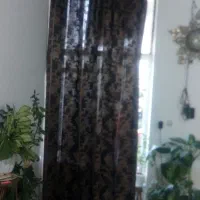 بدون پارگی وخرابی|پرده، رانر، رومیزی|شیراز, شاهچراغ|دیوار