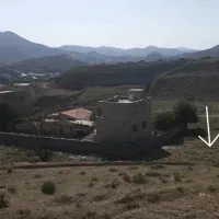 مزایده-شش-دانگ-زمین-وادان