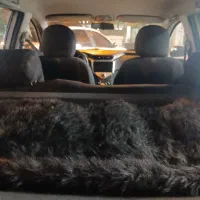 mvm 315 new|خودرو سواری و وانت|تبریز, |دیوار