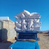 کاه سفید نرم وریز