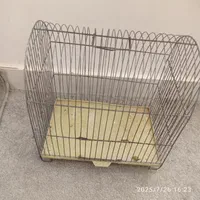 قفس پرنده|لوازم جانبی حیوانات|ایلام, |دیوار