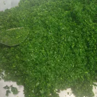 سفارشات شما سبزی و پیاز سرخ شده پذیرفته میشود