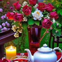 راهنمایی کنید