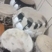 با سلام دو جفت نقاره کلکسیونی با پوست گوساله