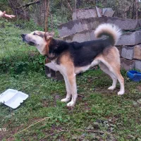 شیش ملیون تومن سن نزدیک دوسال