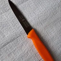 چاقو|ظروف پخت‌وپز|رشت, پل تالشان|دیوار