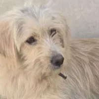 جهت واگذاری