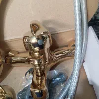 دوعددشیرطلایی