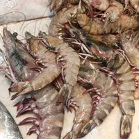 ماهی جنوب|خوردنی و آشامیدنی|رشت, بازار|دیوار