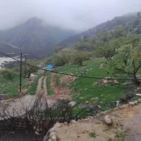 بناهمه کاره وسفت کار