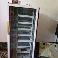 دستگاه جوجه کشی مرغ و بوقلمون و..|لوازم جانبی حیوانات|شیراز, تاچارا|دیوار