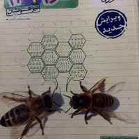 کتاب کمک درسی علوم نهم خیلی سبز
