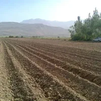 فروش زمین کشاورزی و ساختمانی هر دو زمین موجود است