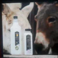 شیر الاغ شیر خر|خوردنی و آشامیدنی|رضویه, |دیوار