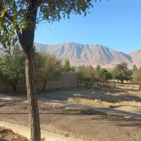 خ اصلی شهر ویست|حراج|گلپایگان, |دیوار