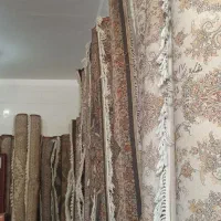 فرش فروشی|فرش|سراوان, |دیوار