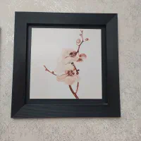 سه عدد تابلو دیواری طرح مدرن و شیک|تابلو، نقاشی، عکس|ملایر, |دیوار