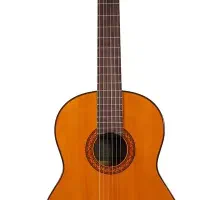 گیتار نو،  خریده شده و یکبار هم استفاده نشده