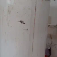 فروش آبگرم کن مخزنی|آبگرمکن، پکیج، شوفاژ|بندر ماهشهر, |دیوار