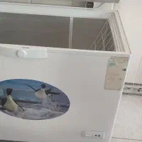 وسایل مرغ فروشی|فروشگاه و مغازه|بندر ترکمن, |دیوار