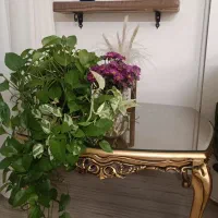 مبل کرم|مبلمان خانگی و میز عسلی|ری, فیروزآبادی|دیوار