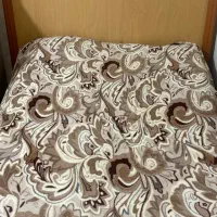 تخت نوجوان ام دی اف