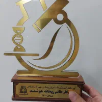 تندیس فارغ التحصیلی|مجسمه، تندیس، ماکت|تهران, هفت چنار|دیوار