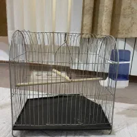 قفس پرنده طوطی مرغ عشق دوعدد|لوازم جانبی حیوانات|سیرجان, |دیوار