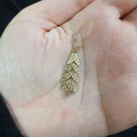 یک قطعه گوشواره گم شده است