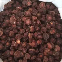 الوچه|خوردنی و آشامیدنی|اندیکا, |دیوار