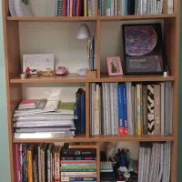 کتابخانه|کتابخانه، شلف، قفسههای دیواری|تهران, باغ فیض|دیوار