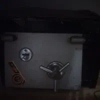 گاو صندوق کوچک مناسب منزل