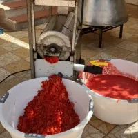 آبگیری گوجه سیار غفاری